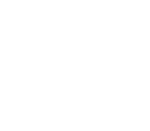 Digipay