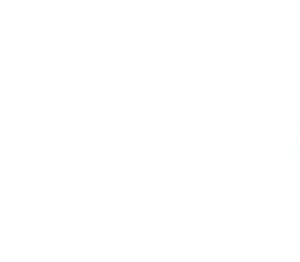 Digipay